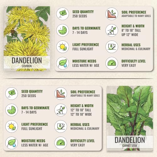 Seed Needs Herb Seeds Variety Pack of 3 - Dandelion Set Non-GMO & Heirloom - Image 6