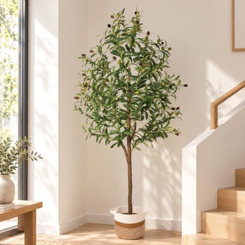 6FT Artificial Olive Tree Indoor Tall Faux with Planter & Basket Large Fake Olive Silk Trees Realistic Olive Plants with Branches and Fruits for Office Decor Home Living Room - Image 2