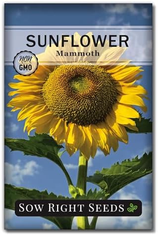 Sow Right Seeds - Mammoth Sunflower Seed for Planting Giant Flower Garden by SowRightSeeds