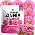 HOME GROWN Zinnia Seeds, Luminosa Pink, 1,500 Seeds, Zinnia elegans by HOMEGROWN