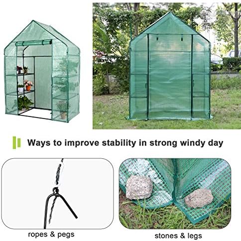 Greenhouse, Green House 3 Tiers 6 Shelves Stands, Outdoor/Indoor Greenhouse with Anchors Roll-up Zipper Door, Waterproof Gardening Plant Green Houses for Outdoors, PE Cover, 56”x28”x77” - Image 5