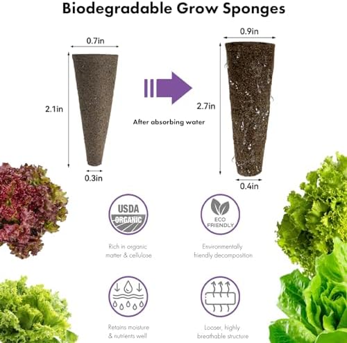 LYKOCLEAN Salad Romaine Lettuce Seed Pods for AeroGarden,Ahopegarden, iDOO Hydroponics Growing System,350 Seeds+ Including American Lettuce,Paris Island Cos,Buttercrunch (12-Pods) - Image 5