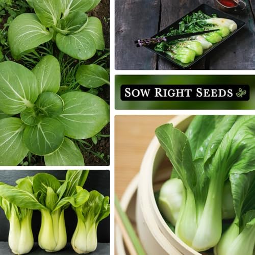Sow Right Seeds - 1200 Bok Choy Seed for Planting Bulk Jumbo Pack Pak Choi - Image 5
