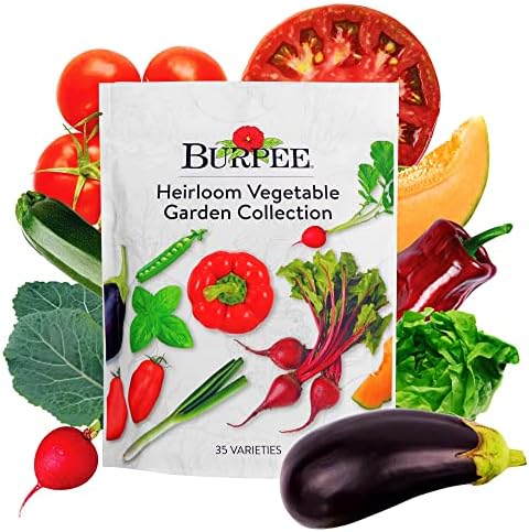 Burpee Heirloom Vegetable Seeds, Variety Pack with 35 Varieties of Plant Seeds, 30,000+ Garden Seeds - Mixed Non-GMO Seeds with Select Varieties of Lettuce, Beans, Tomatoes, Peppers, Squash and More by Burpee