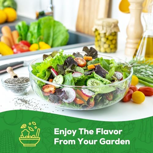 Heirloom Lettuce Seeds - 5 Varieties Lettuce Seeds for Planting - Black Seeded Simpson, Iceberg, Buttercrunch, Parris Island Cos & Lolla Rossa Lettuce - Home Garden & Hydroponic Seeds - Image 7