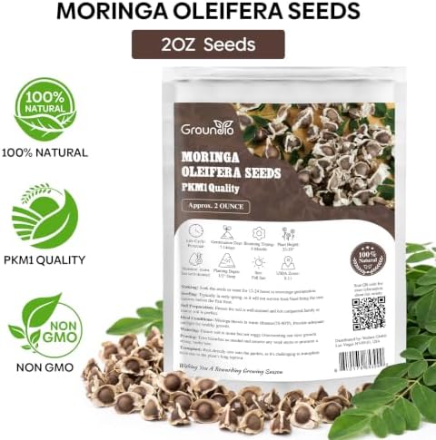 Groundio Moringa Seeds 2Oz, Non-GMO PKM1+ Moringa Oleifera for Planting - Image 3