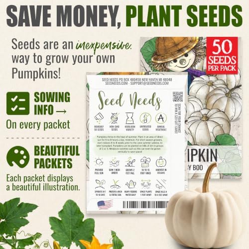 Seed Needs Baby Boo Pumpkin Seeds to Plant Vegetables - 10 Packs - Image 3