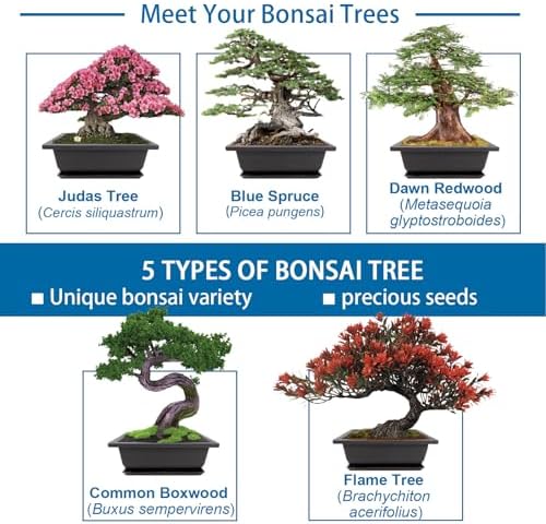 Bonsai Starter Kit, Growing Set Including Complete Gardening Tools with A Gift Box, Gifts for Women - Image 3
