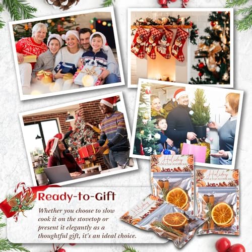 10 Pcs Christmas Simmer Pot Stovetop Potpourri 30G Orange Spice - Image 6