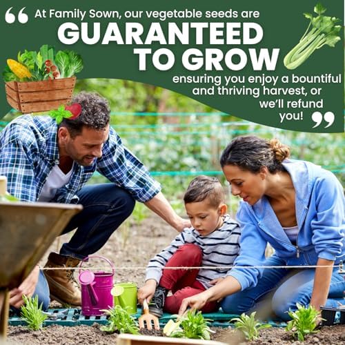 Celery Tall Utah – 4,500 Premium Seeds for Planting – Crisp, Aromatic, Slow-Bolting Heirloom for the 2026 Season – 2 Gram Pouch - Image 7