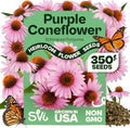 SVI 350 Purple Coneflower Seeds (Echinacea purpurea) – Purple Echinacea Herb Cone Flowers Seed Packets – Attracts Pollinators, Perennial Flower Seeds for Flower Garden & Outdoor Garden Bed by SVI
