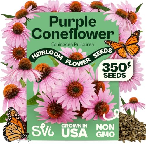 SVI 350 Purple Coneflower Seeds (Echinacea purpurea) – Purple Echinacea Herb Cone Flowers Seed Packets – Attracts Pollinators, Perennial Flower Seeds for Flower Garden & Outdoor Garden Bed by SVI