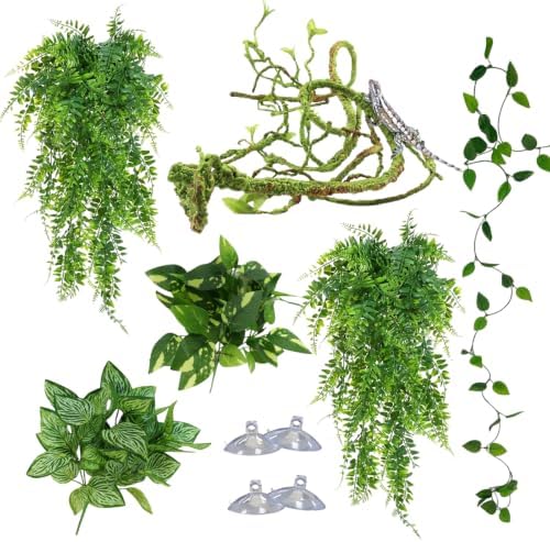 Reptile Plants for Terrarium, Bearded Dragon Tank Accessories by Unknown
