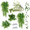 Reptile Plants for Terrarium, Bearded Dragon Tank Accessories by Unknown
