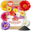 Groundio 23500+ Mixed Moss Rose Seeds, Ground Cover Flower Seeds, Heat & Drought Tolerant Heirloom Flower Seeds for Home Yard Container Gardening(Portulaca Grandiflora) by Groundio