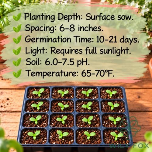 Trailing Ice Plant Seeds for Planting, Lampranthus spectabilis, Heirloom Non-GMO Mesembryanthemum spectabile Haw., High Germination Pink Purple Succulent Ground Cover, 5000 Count - Image 5
