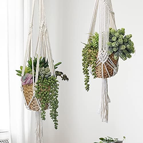 Winlyn 22 Pcs Bulk Artificial Succulents Plants Unpotted Small Aloe Hanging String of Pearls Cactus Green Fake Succulents for Succulent Garden Arrangement Centerpiece Wall Indoor Outdoor Home Decor - Image 6