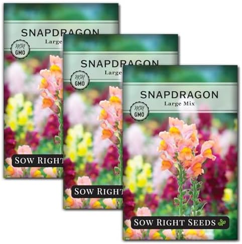 Sow Right Seeds - Large Mix Snapdragon Seed for Planting Flower Garden 3pk by SowRightSeeds