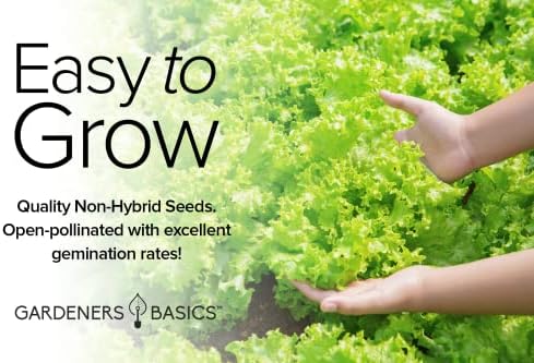 Gardeners Basics Leafy Greens Seeds for Planting, 8 Heirloom Varieties - Image 6