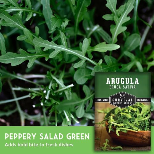 Arugula Seeds for Planting - Survival Garden Seeds (5 Pack) - Image 3