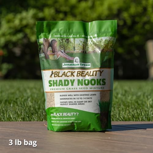 Jonathan Green Black Beauty Shady Nooks Grass Seed - 3 lb - Image 3