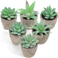 Woration 6 Style Green Artificial Small Succulents Fake Plants Potted by Woration