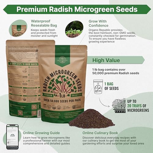 Organo Republic Radish Sprouting & Microgreens Seeds - Non-GMO, Heirloom Sprout Seeds Kit, 1lb Resealable Bag for & Growing Microgreens in Soil, Coconut Coir, Aerogarden & Hydroponic System. - Image 2