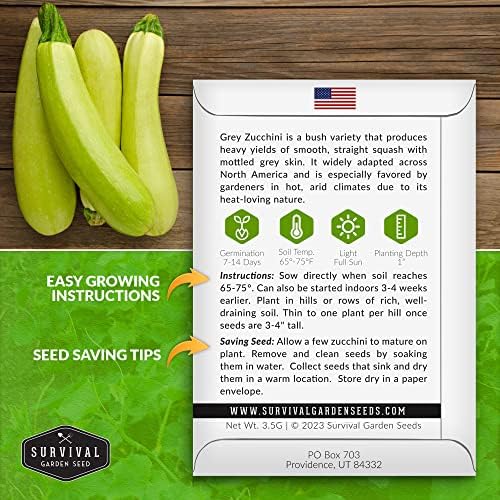 Grey Zucchini Seeds for Planting - 3 Packs - Image 2