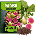 Watermelon Radish Seeds for Planting - Heirloom Non-GMO by Axel%27s+Garden+Seeds