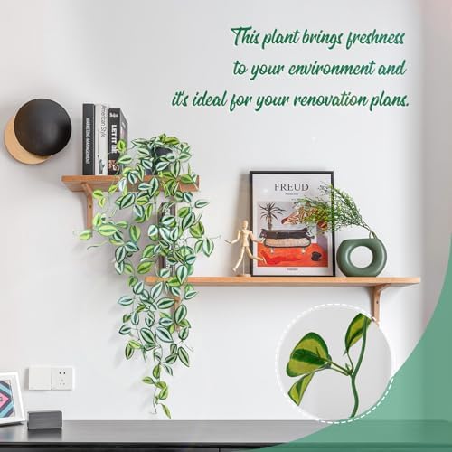 LOYWREE 2 Pack Fake Hanging Plants - Small Potted Plants with Green Eyebrow-Leaf Trailing Vines, Indoor Outdoor Aesthetic Decor for Office, Living Room Shelf & Home Accent (Black Pot) - Image 3