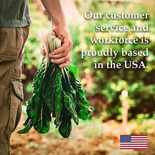 Mountain Valley Seed Co Cabbage Seeds Copenhagen Market 4 Oz ~26,000 Seeds - Image 6
