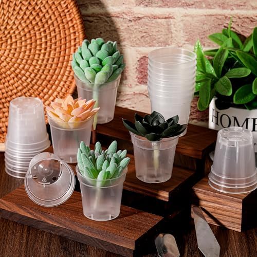Yaomiao 200 Pcs 2 Inch Clear Mini Nursery Pots with Drainage Holes - Image 5