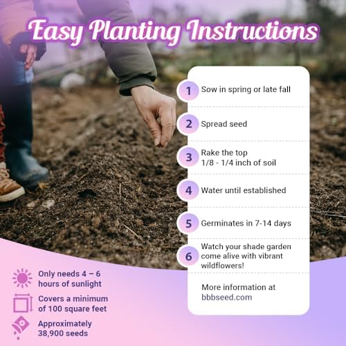 BBB Seed Shade Wildflower Seeds Mix, Partial Shade Flowers, Non-GMO 1 oz (Pack of 3) - Image 3