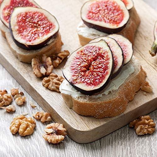 Perfect Plants Chicago Hardy Fig Tree, 3 Gallon, Live Plant - Image 4