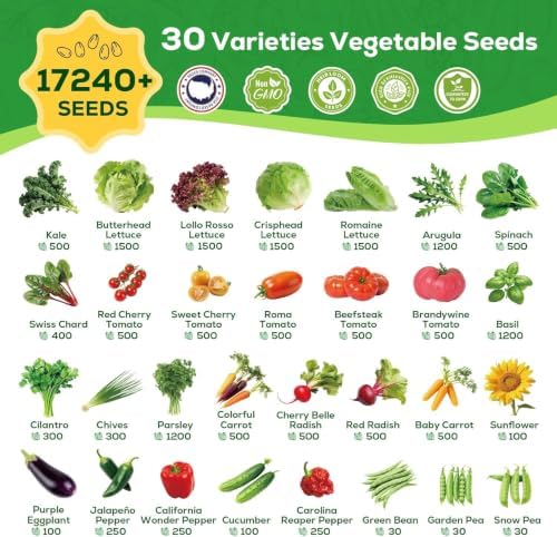 Fall Winter Vegetable Heirloom Seeds | 30 Varieties | 17240+ High Yield Garden Seeds | Lettuce, Kale, Sweet Basil, Cherry Tomato& More | 2026 Season | for Indoor & Outdoor Home Planting - Image 5