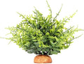 Green Boston Fern Reptile Plants, Amphibian Terrarium Habitat Décor by WOLEDOE