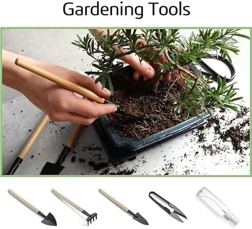 Bonsai Garden Starter Kit, 4 Seeds Growing into Sakura, Ginkgo, Black Pine, Red Flame, Including Complete Gardening Tools & A Planter Box with Cover for Men Women Beginners - Image 7