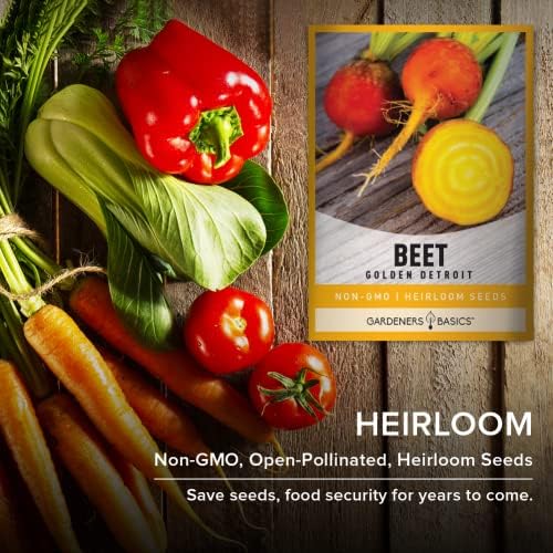 Gardeners Basics Golden Detroit Beet Seeds for Planting, Heirloom, 2 Grams - Image 5