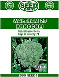 Waltham 29 Broccoli Seeds - 500 Seed Non-GMO by The+Seed+Plant
