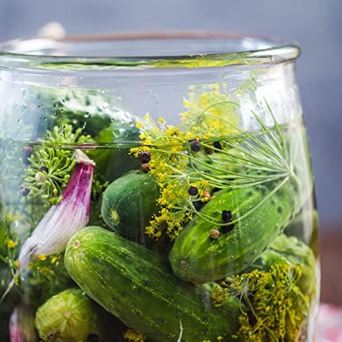 The Old Farmer's Almanac Organic Dill (Bouquet) Seeds - Approx 750 Seeds - Certified Organic, Non-GMO, Open Pollinated, Heirloom, USA Origin - Image 7