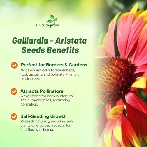 Outsidepride Gaillardia Aristata Red Blanket Flower Seeds for Planting - 1 lb Perennial Wildflower Seeds, Drought-Tolerant for Xeriscaping, Borders, Pollinator Gardens, or Wildflower Mixes - Image 4