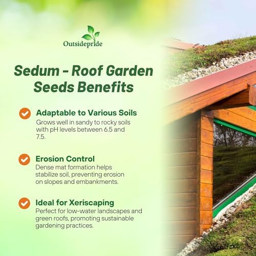 Outsidepride Roof Garden Sedum Seeds - 5000 Pcs Perennial Ground Cover Seeds for Planting, Cold-Hardy & Heat-Tolerant Succulent Plants, Ideal for Rock Gardens, Containers, and Xeriscaping - Image 3