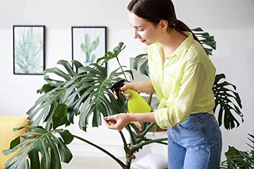 American Plant Exchange Monstera Deliciosa – Live 10-Inch Pot Split Leaf Plant, Large Statement Houseplant, Easy-Care Low-Maintenance Air Purifying Tropical Vine for Home, Office & Garden Décor - Image 3