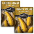 Yellow Straightneck Squash Seeds for Planting (2 Packs) by SurvivalGardenSeeds