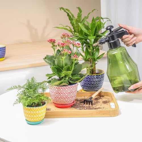 Selamica Ceramic Succulent Pots with Drainage Holes, Small Flower Pots 3.5 Inch Plant Pots for Indoor Plants with Saucers, Cactus Succulent, Home Decor, Set of 4, Assorted Colors - Image 5