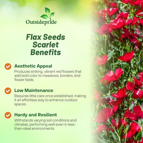 Outsidepride Scarlet Flax Seeds - 5000 Pcs Annual Flower Seeds for Planting, Self-Seeding, Drought-Tolerant w/Compact Growth, for Small Gardens, Meadows, Borders, or Mass Plantings - Image 3