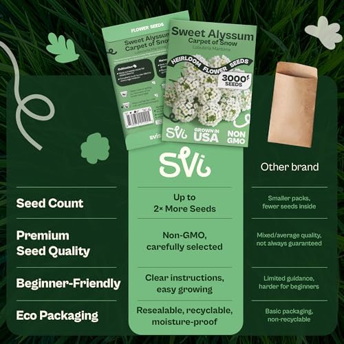 SVI 3000 Carpet of Snow Sweet Alyssum Seeds (Lobularia maritima) – White Sweet Alyssum Seed Packets Bulk – Ground Cover Seed Pack, Flower Seeds for Outside, Containers, Flower Beds - Image 6