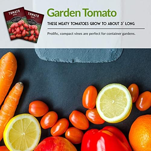 Roma Tomato Seeds for Planting - 2 Packs - Image 6