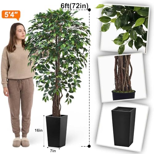 Aveyas 6ft Artificial Ficus Tree for Home Decor with Black Pot, 6 Feet Faux Plant Fake Silk Trees for Indoor Outdoor House Living Room Office Garden (6 ft Tall Including Raised Pot) - Image 2