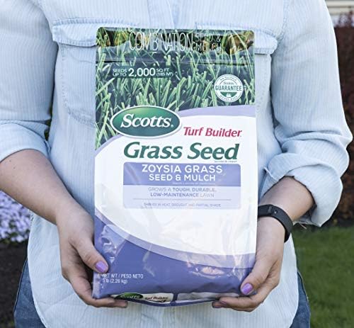 Scotts Turf Builder Grass Seed Zoysia Grass Seed and Mulch, 5 lb. - Full Sun and Light Shade - Thrives in Heat & Drought - Grows a Tough, Durable, Low-Maintenance Lawn - Seeds up to 2,000 sq. ft. - Image 3